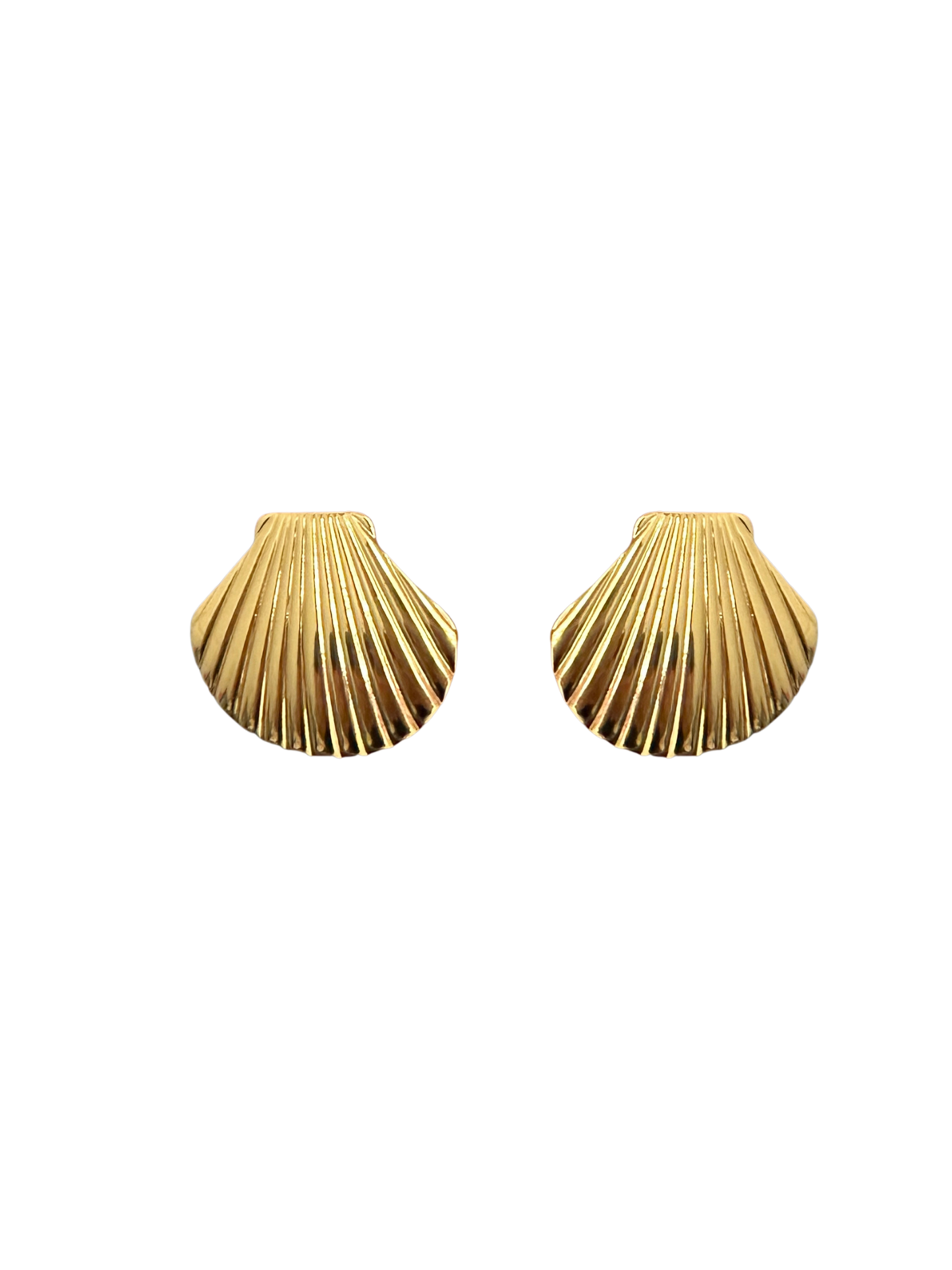 Aretes Shell