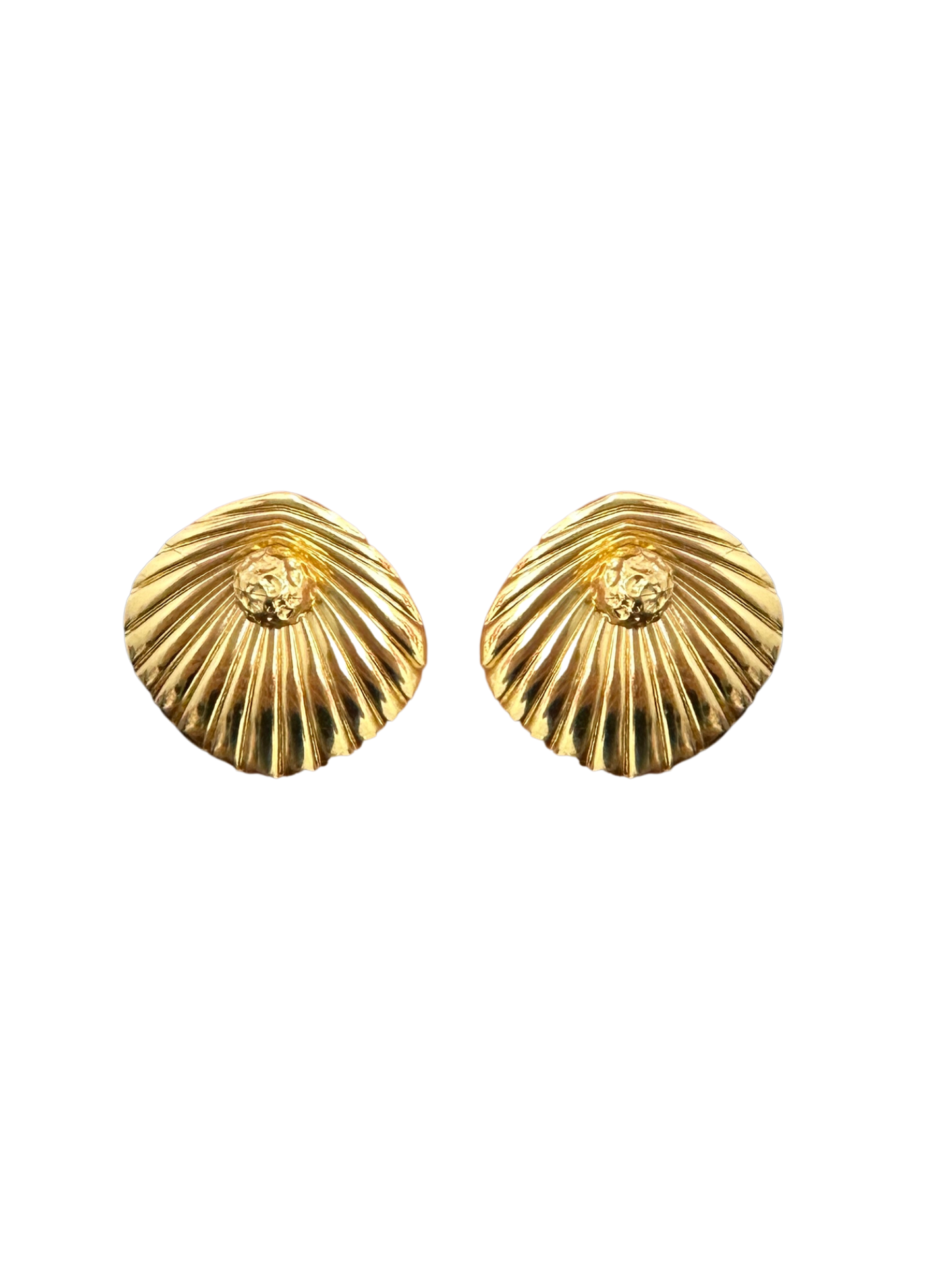 Aretes Shell Circle