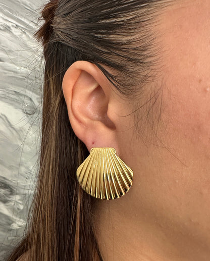 Aretes Shell